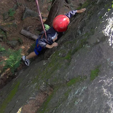 팜스테이 Birkut Szkola Przetrwania 1 *