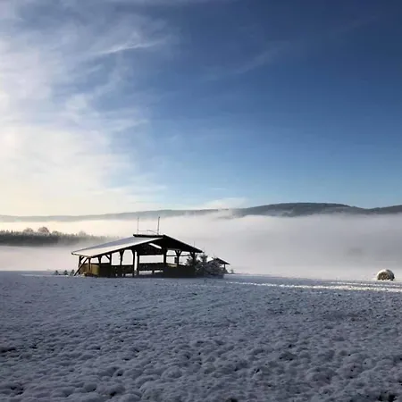 Birkut Szkola Przetrwania 1 Lasowka