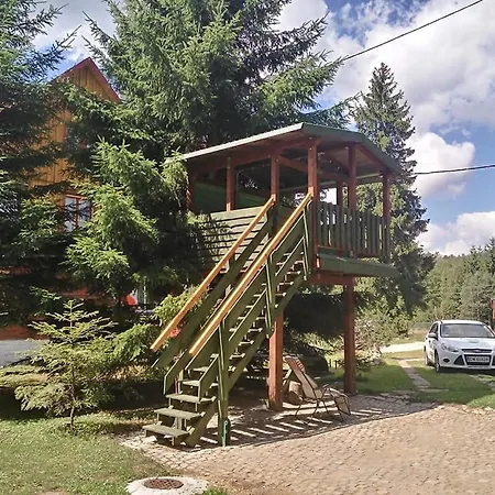 Birkut Szkola Przetrwania 1 * Lasowka