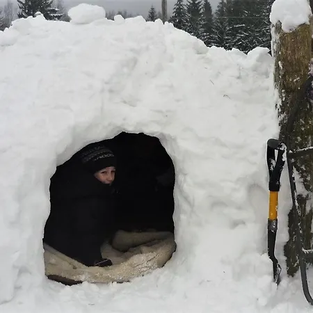 Birkut Szkola Przetrwania 1 *