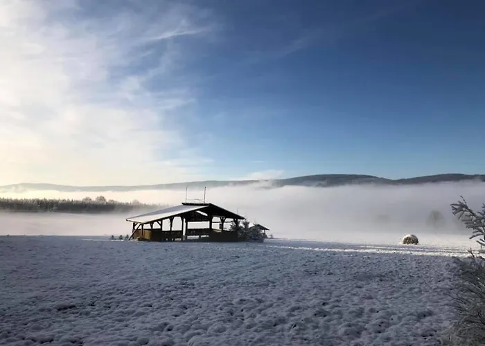 Birkut Szkola Przetrwania 1 Lasowka