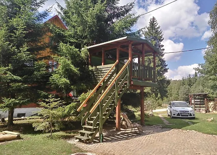 Birkut Szkola Przetrwania 1 * Lasowka