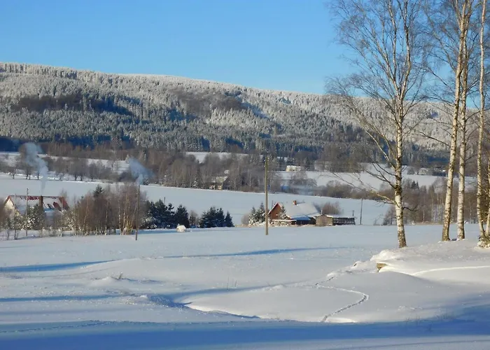 Birkut Szkola Przetrwania 1 * Lasowka